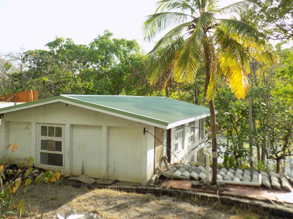 Almond and Coconut Trees surround the Beach House