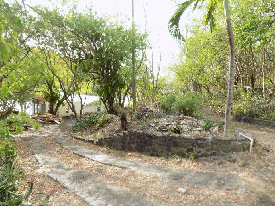 Driveway into the Beach House