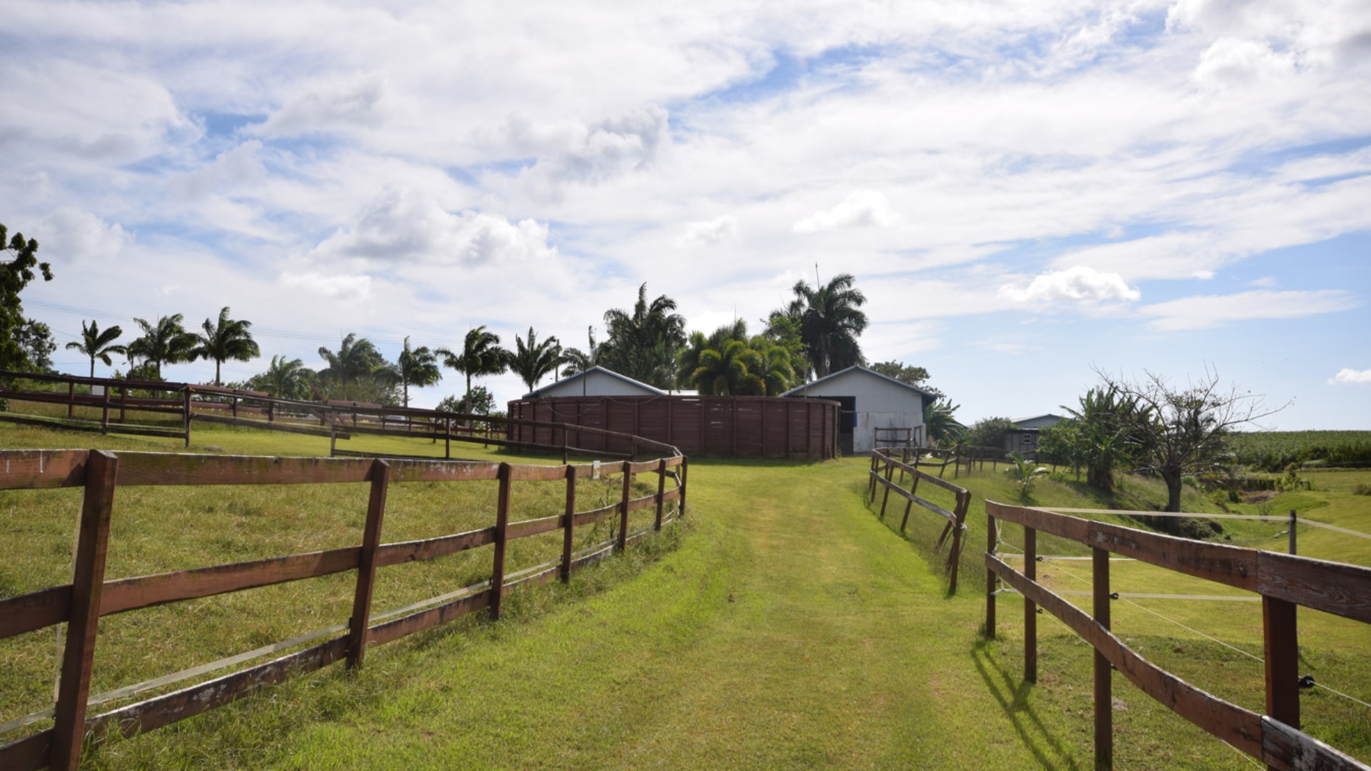 Horse Farm • Land • Barbados Real Estate & Property For Sale and For