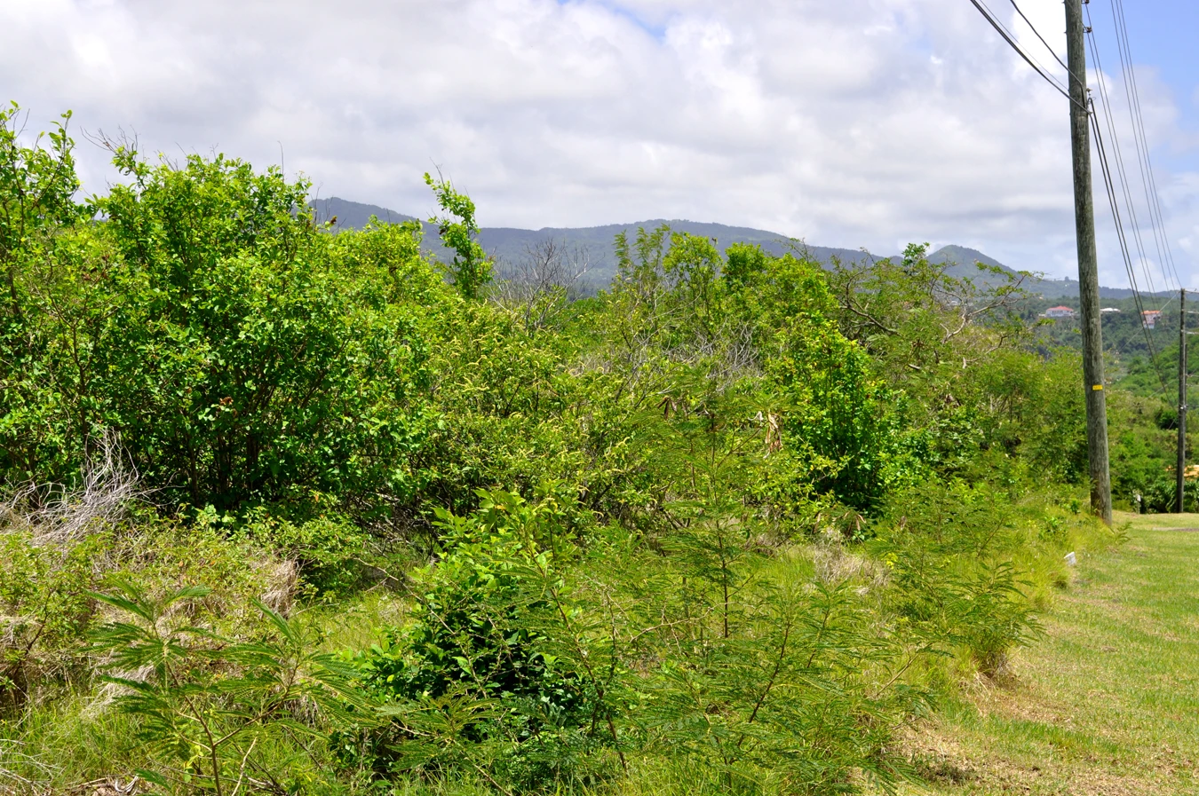 Egmont Flat Lot • Land • Grenada Real Estate & Property For Sale and