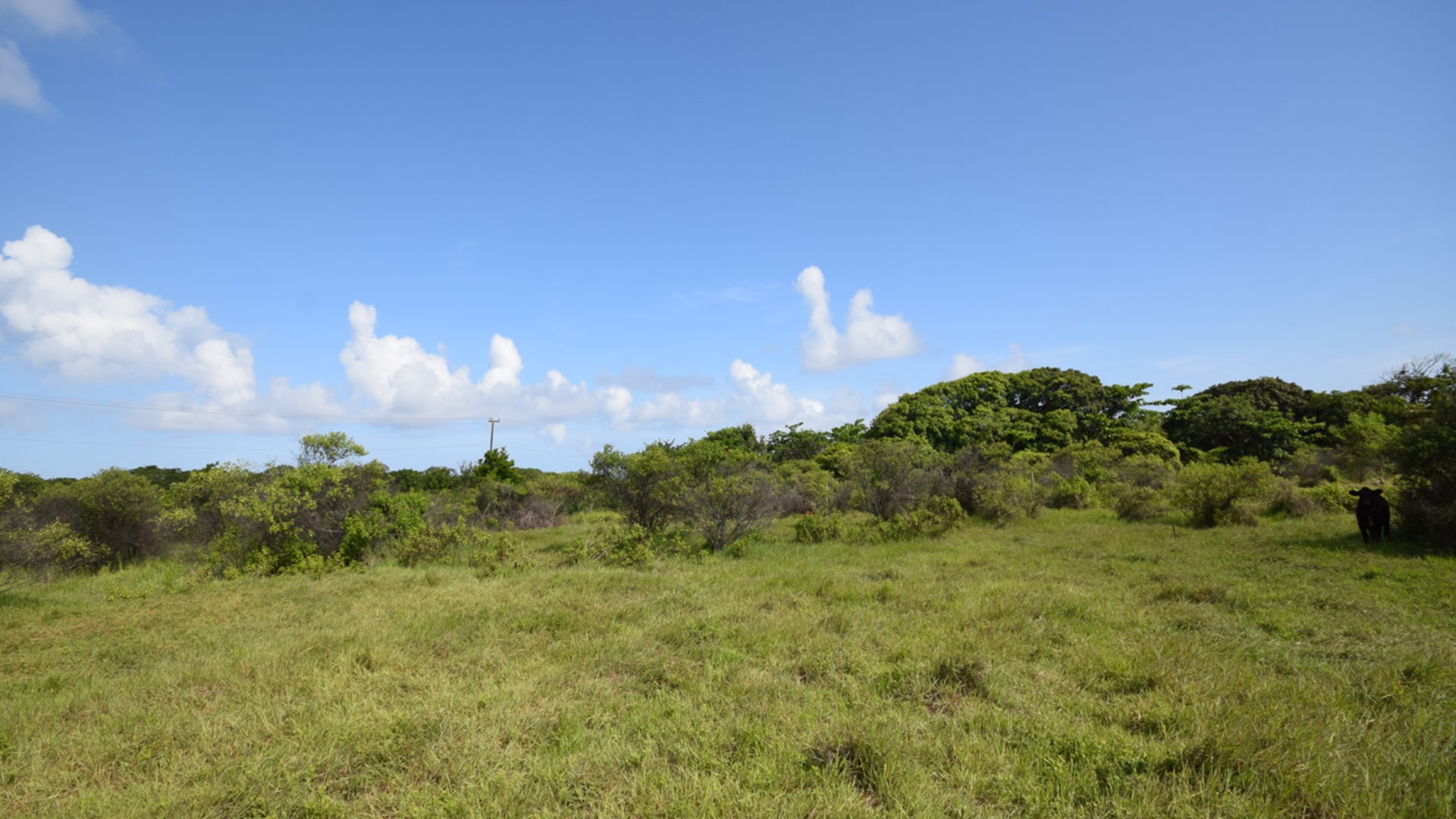 Farm Road • Land • Barbados Real Estate & Property For Sale and For