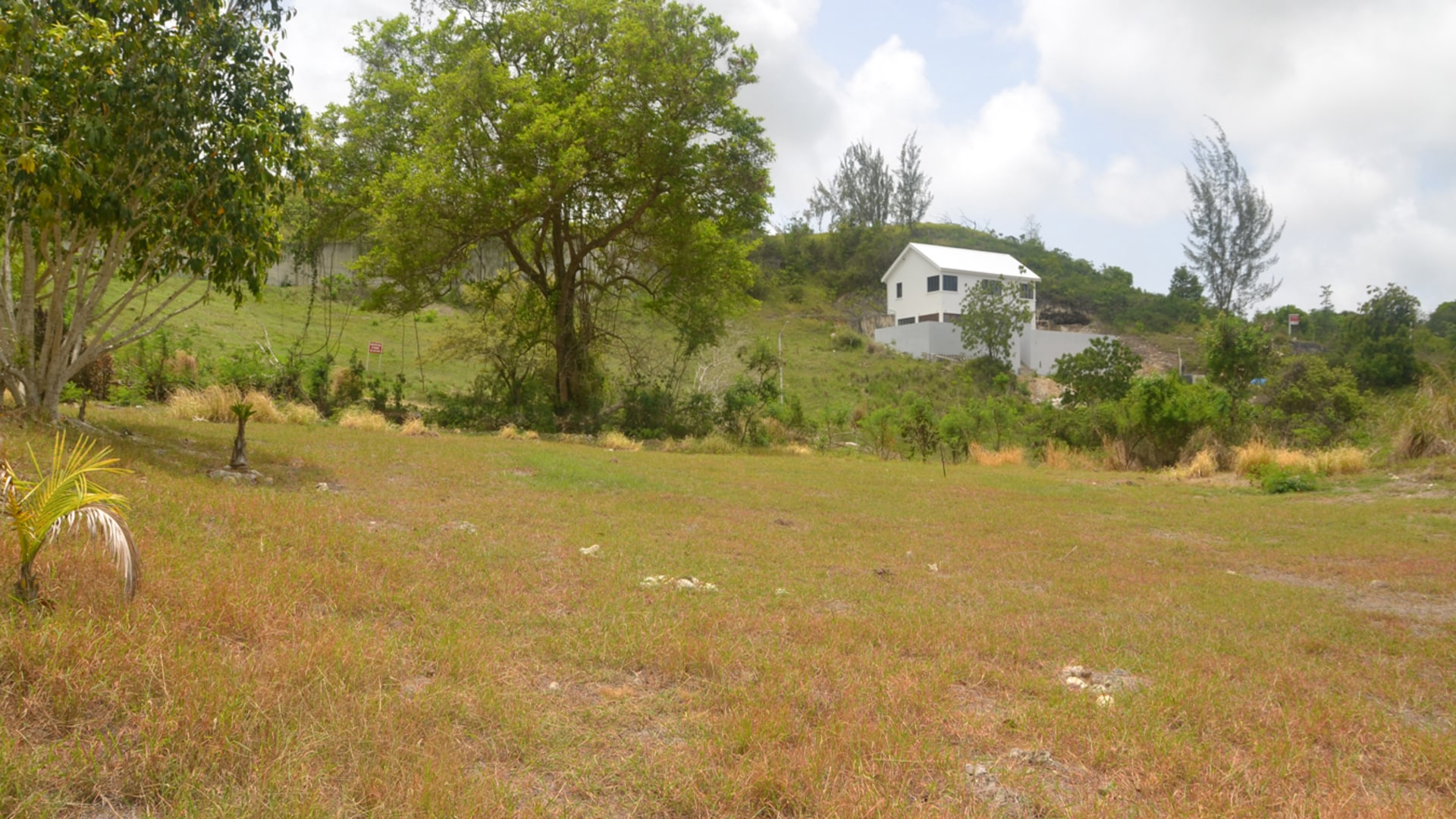 Rolling Hills No 62 • Land • Barbados Real Estate & Property For Sale and For Rent Terra