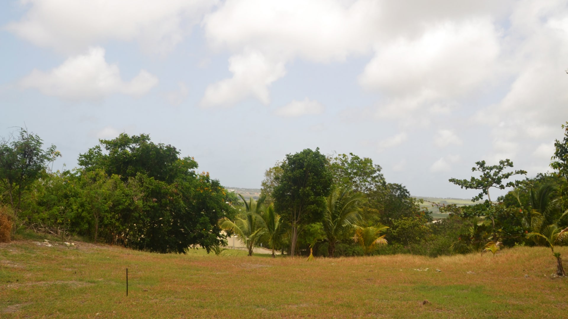 Rolling Hills No 62 • Land • Barbados Real Estate & Property For Sale and For Rent Terra