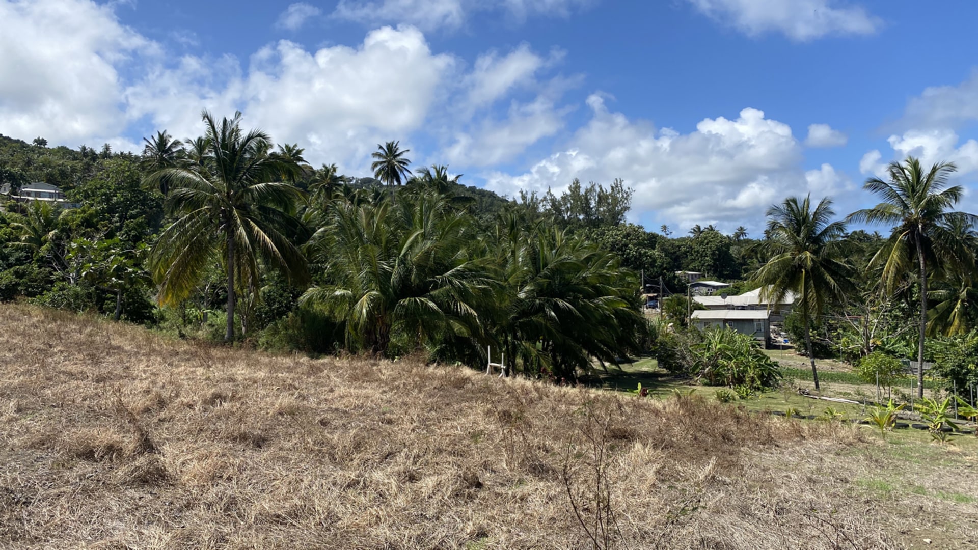 Bathsheba Land • Land • Barbados Real Estate & Property For Sale and