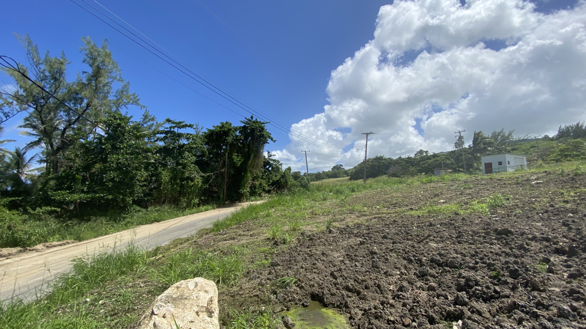 Joes River Land • Land • Barbados Real Estate & Property For Sale and For Rent Terra Caribbean