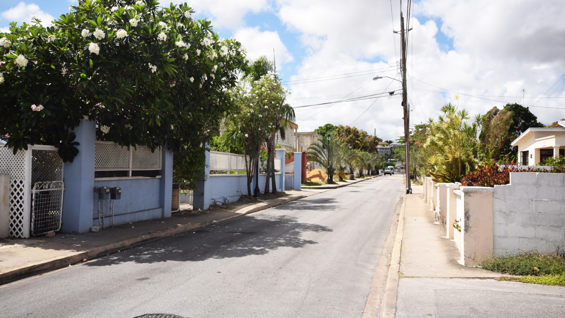 Dover Palms Lot • Land • Barbados Real Estate & Property For Sale and