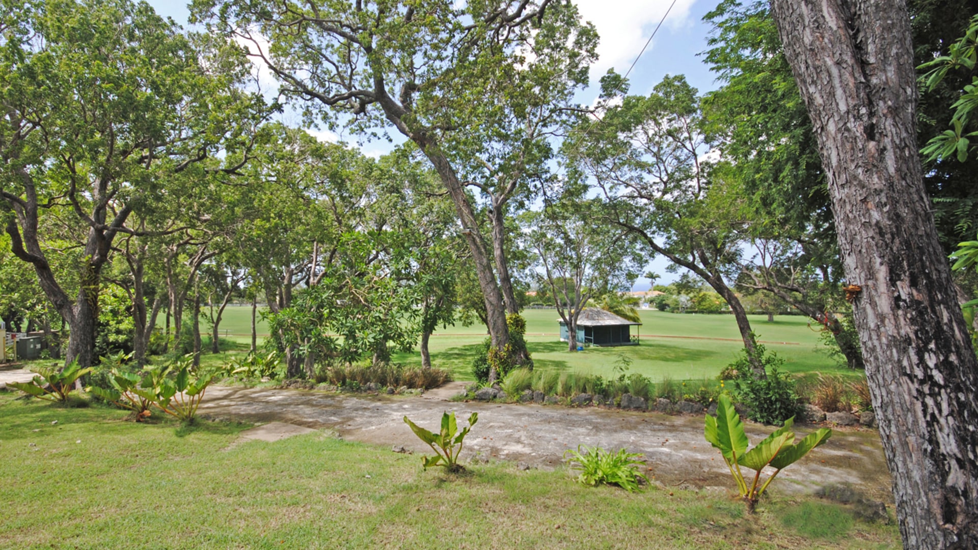 Holders House • Plantation House • Barbados Real Estate & Property For