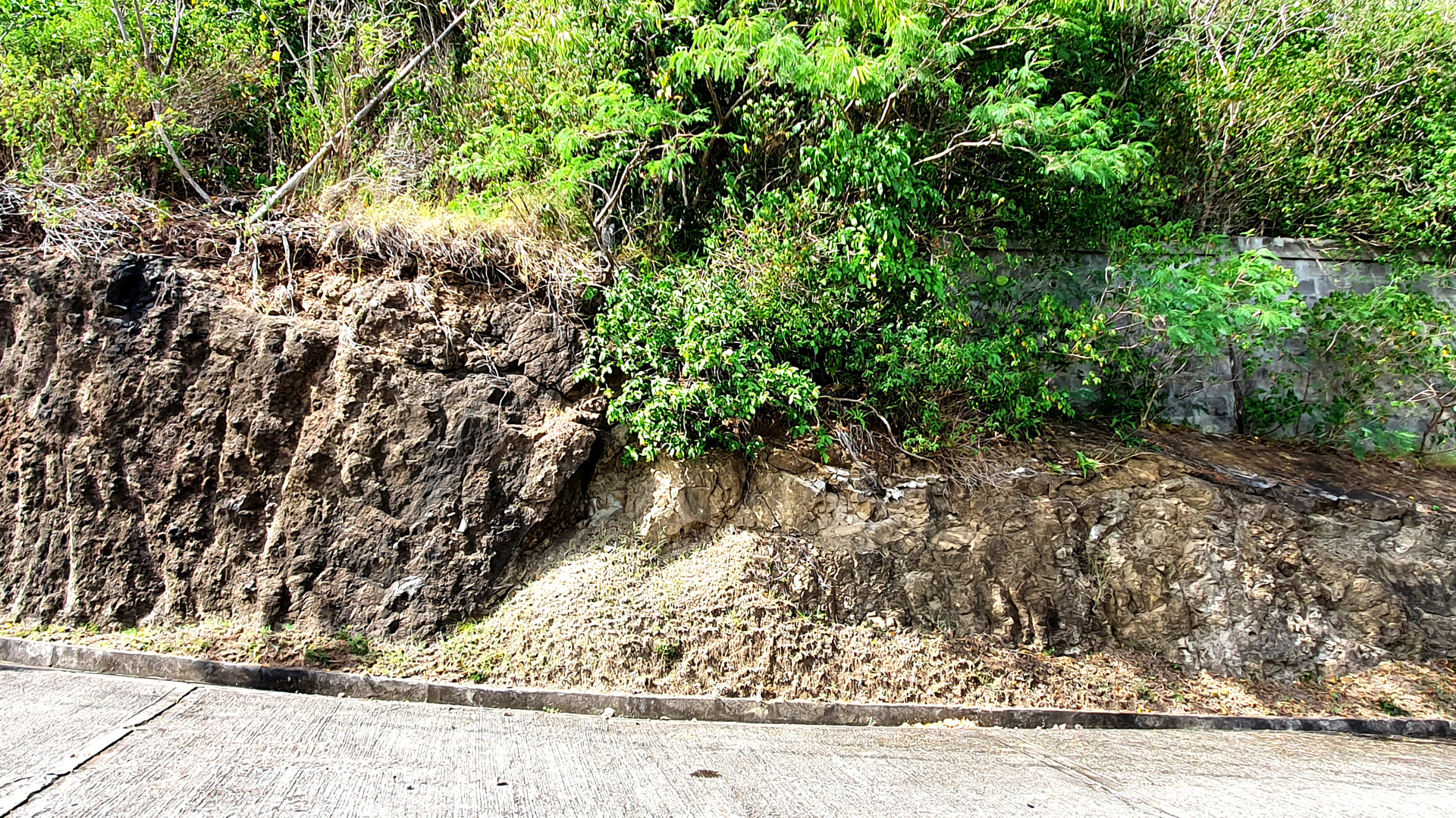 Egmont Lot No 66 • Land • Grenada Real Estate & Property For Sale and