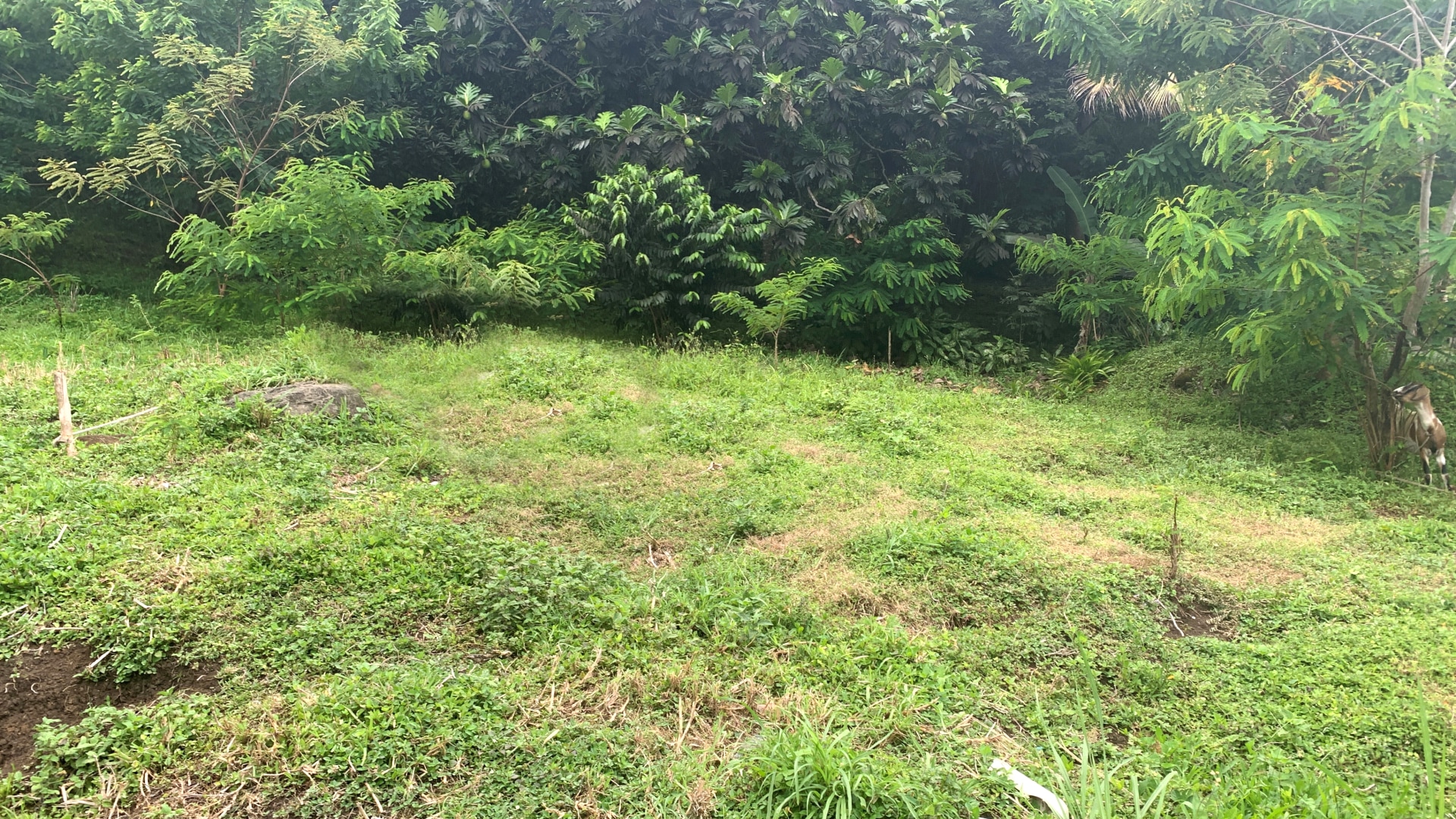 Mt. Parnassus Lot • Land • Grenada Real Estate & Property For Sale and