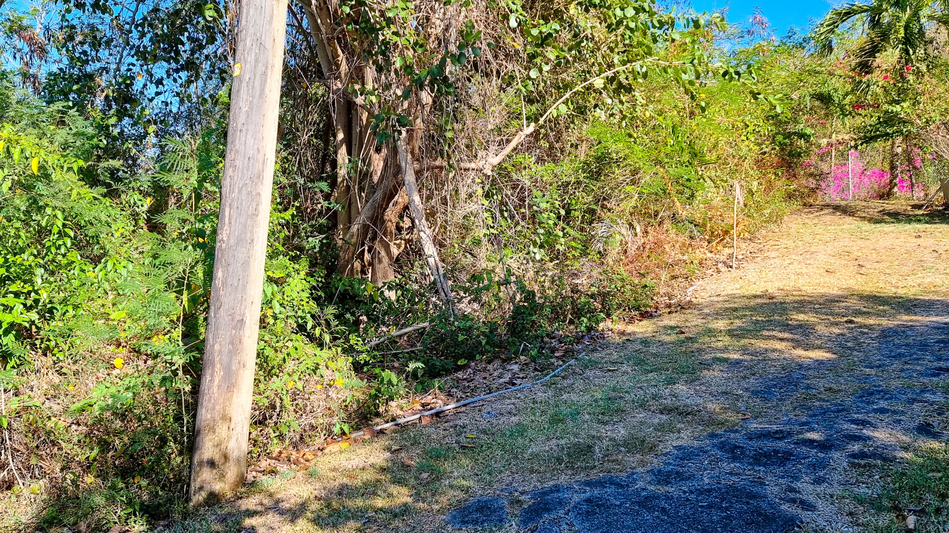 Lot No 4B Golf Course • Land • Grenada Real Estate & Property For Sale