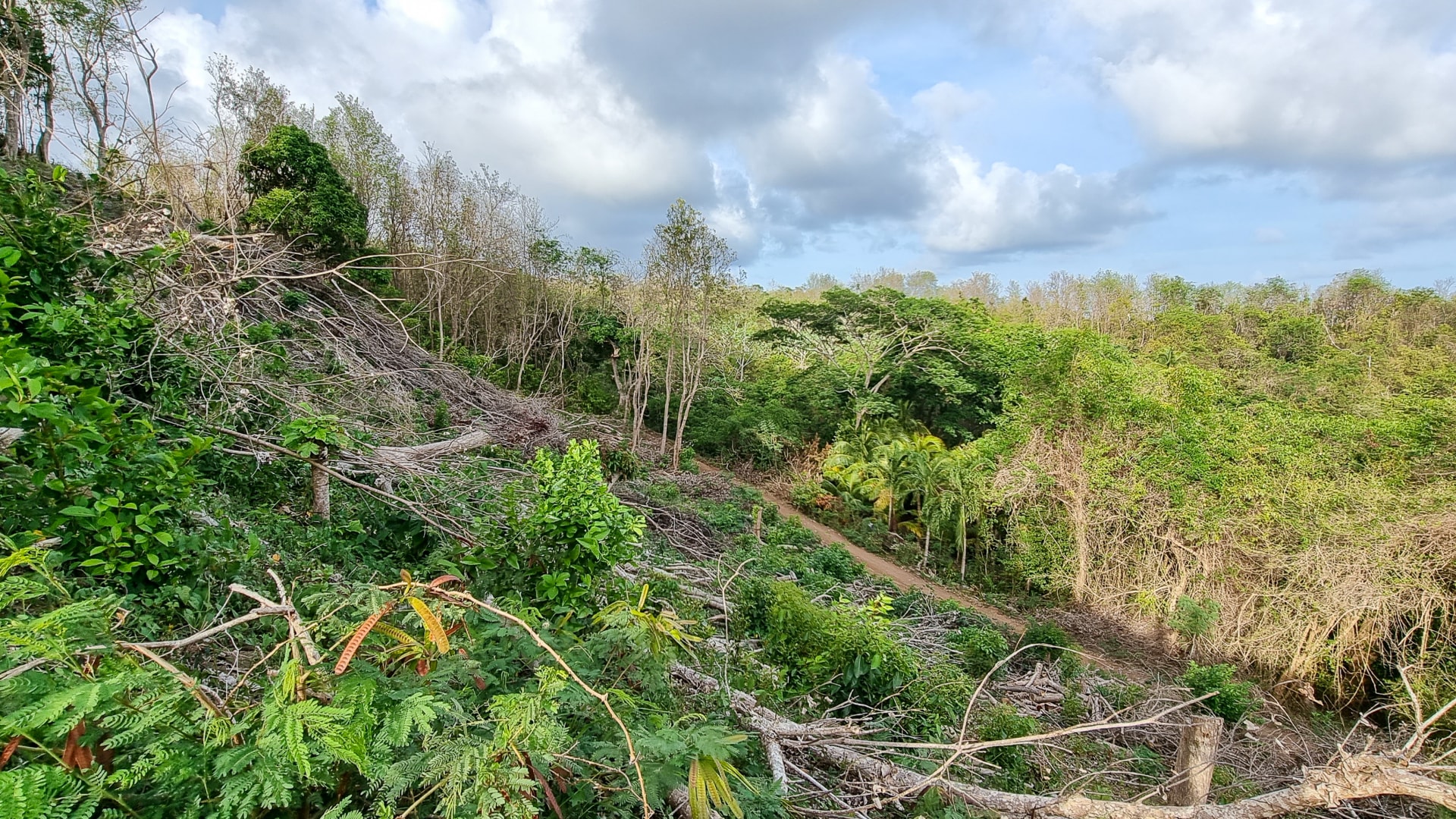 Old Westerhall Lot No 1A • Land • Grenada Real Estate & Property For