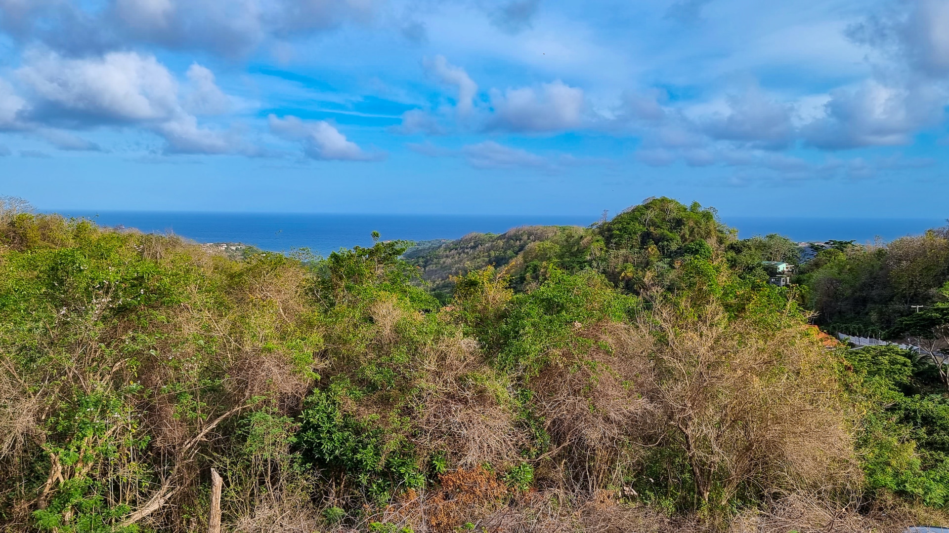 Old Westerhall Lot No 1A • Land • Grenada Real Estate & Property For