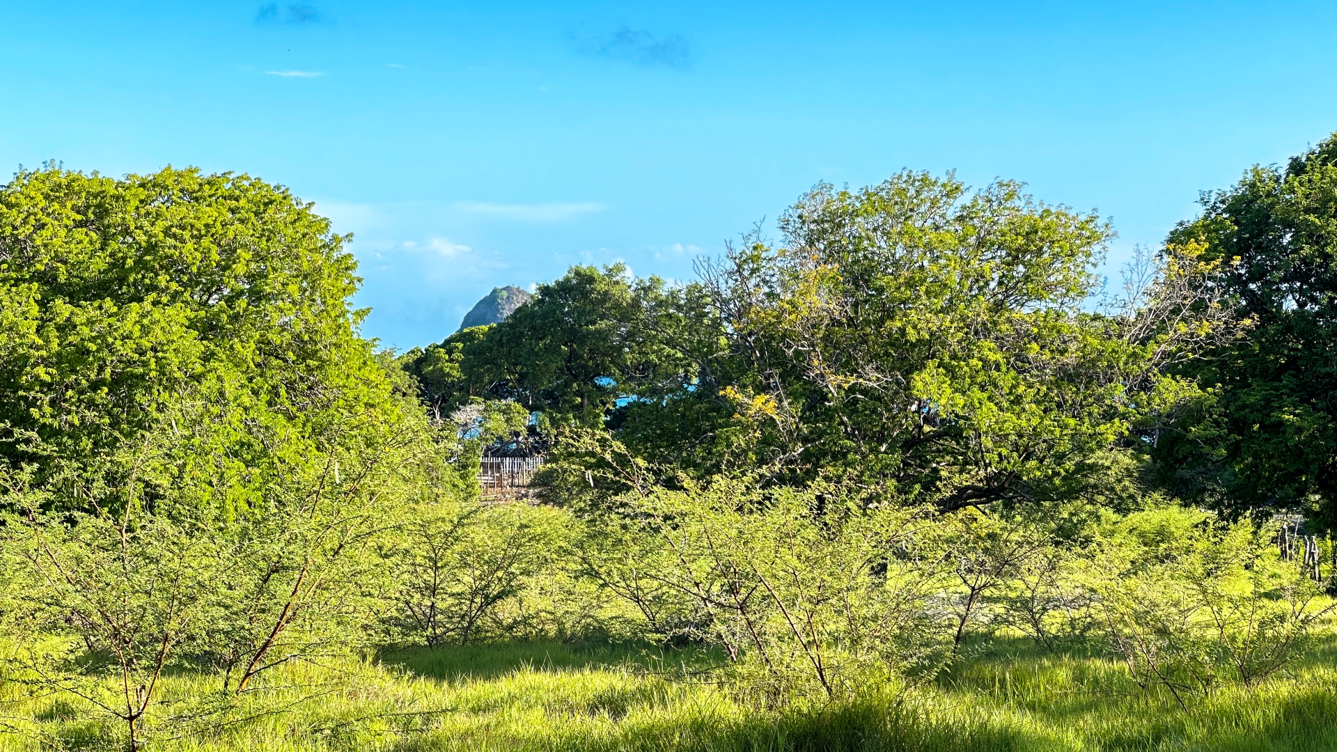 Hermitage Lot • Land • Grenada Real Estate & Property For Sale and For