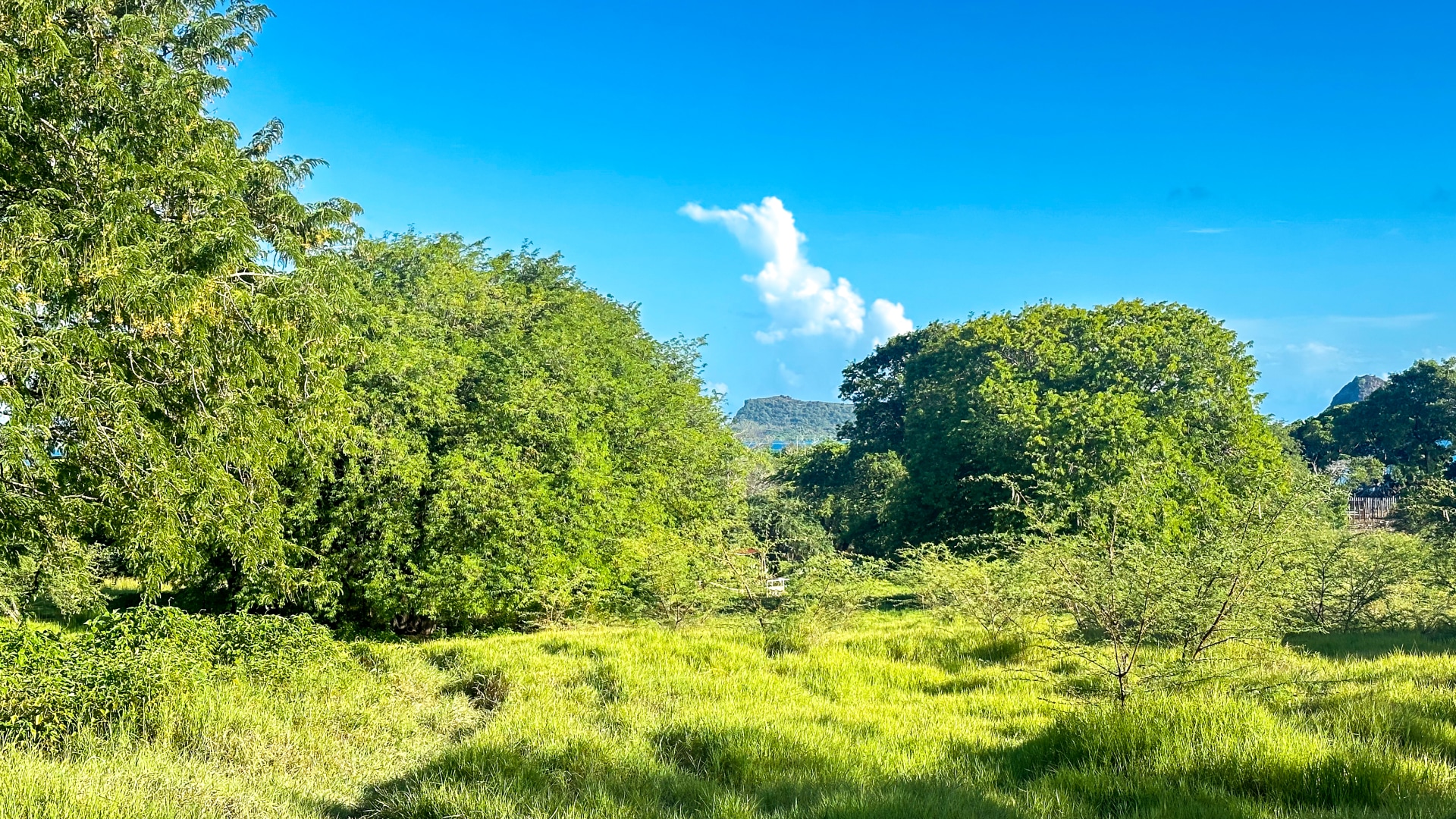 Hermitage Lot • Land • Grenada Real Estate & Property For Sale and For
