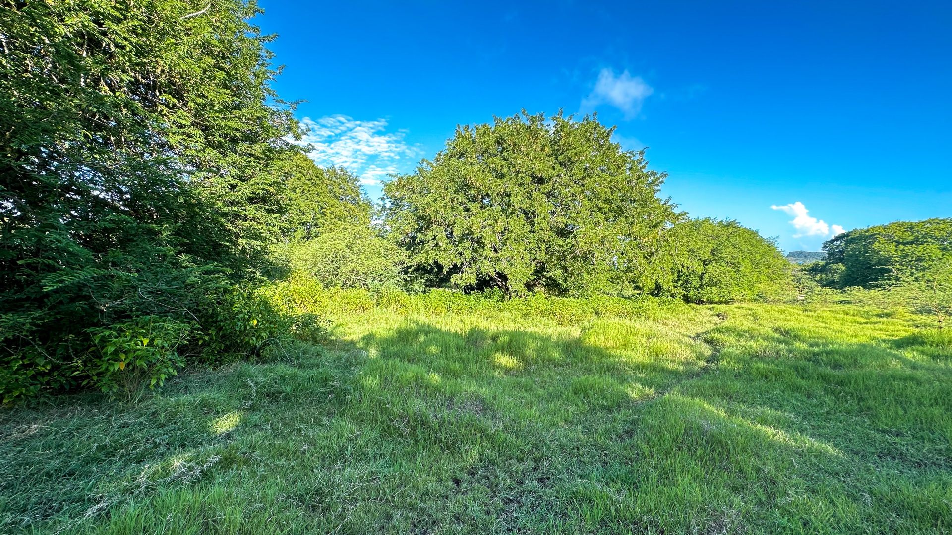 Hermitage Lot • Land • Grenada Real Estate & Property For Sale and For