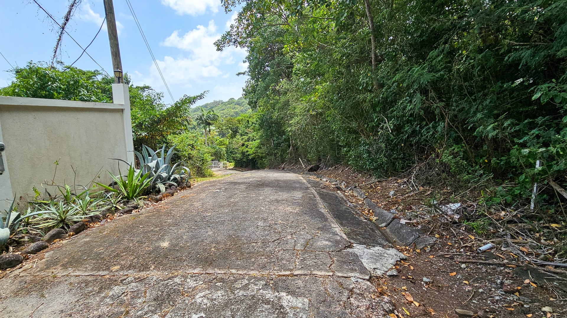 Lot 72 Chambord Estate • Land • Grenada Real Estate & Property For Sale