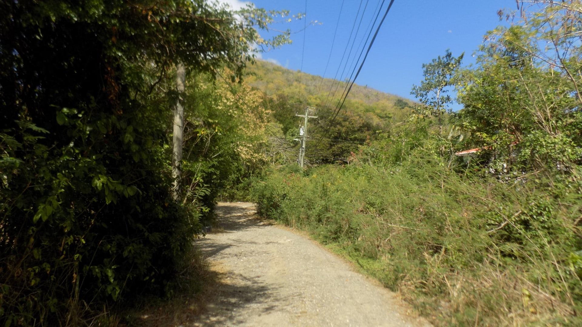 Trouya Land No 356 • Land • St. Lucia Real Estate & Property For Sale