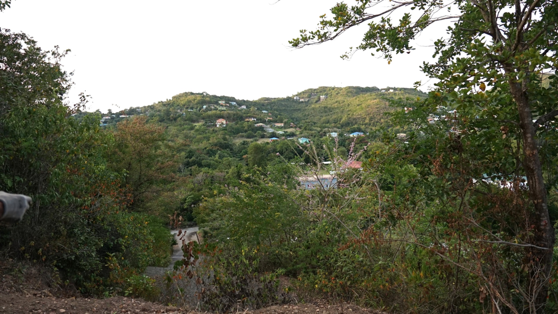 Monchy Land No 448 • Land • St. Lucia Real Estate & Property For Sale