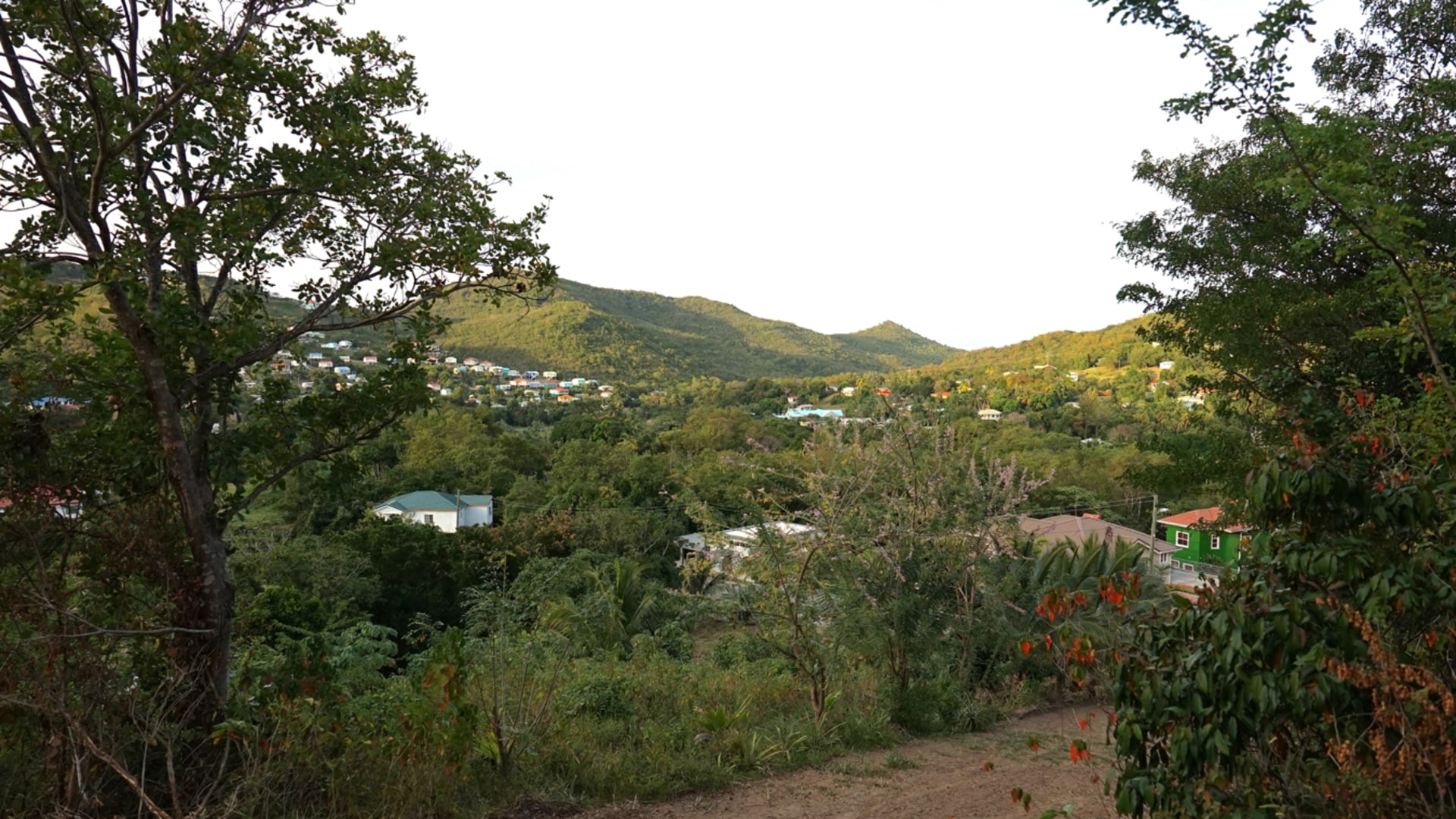 Monchy Land No 448 • Land • St. Lucia Real Estate & Property For Sale