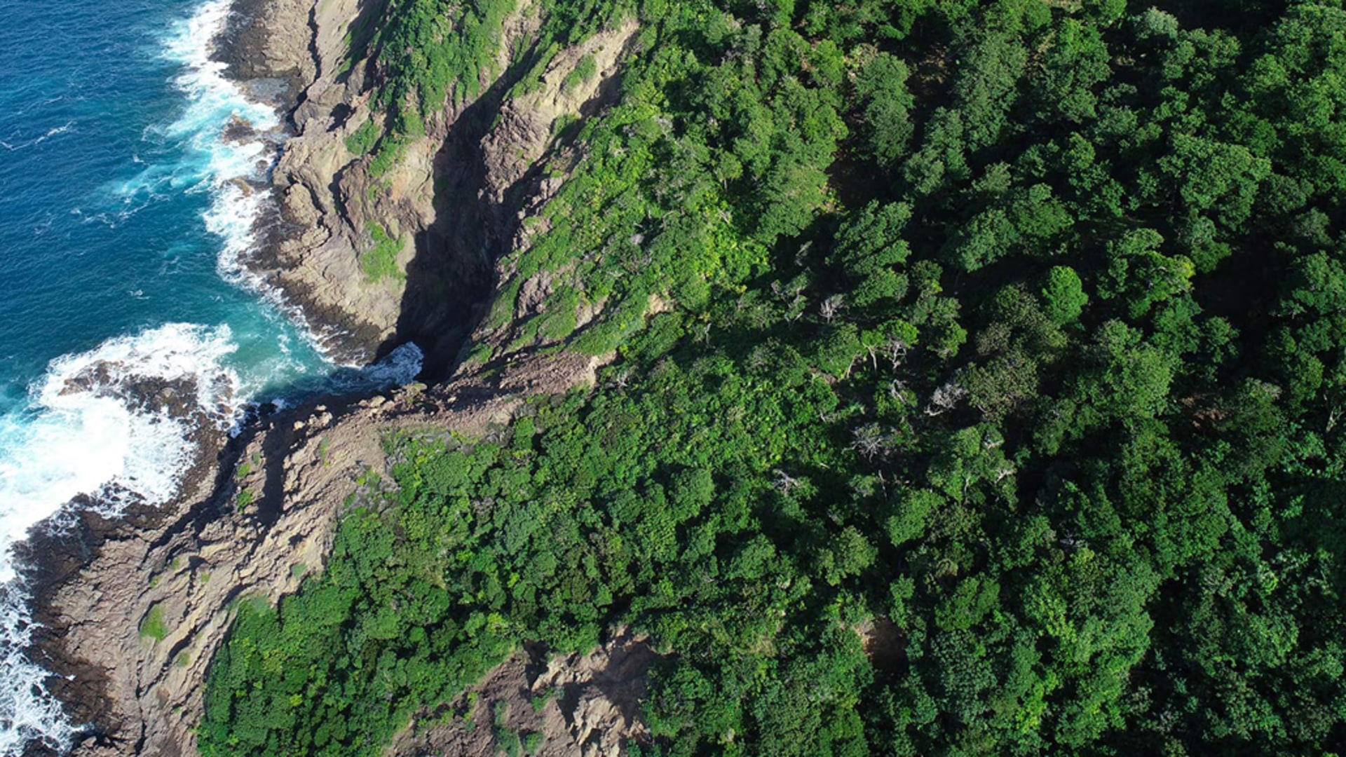 The Estate at Mount du Cap • Land • St. Lucia Real Estate & Property