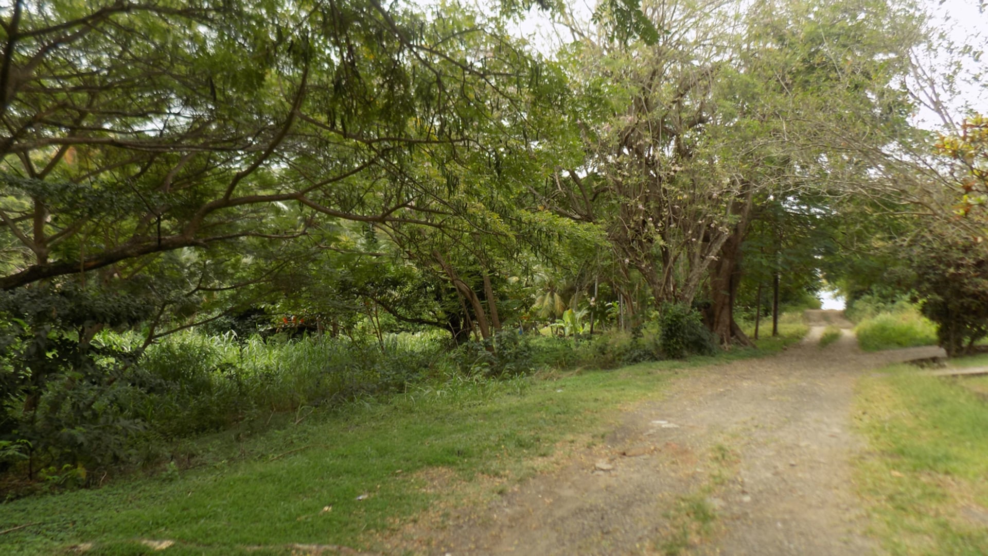 Marisule Beach Land • Land • St. Lucia Real Estate & Property For Sale