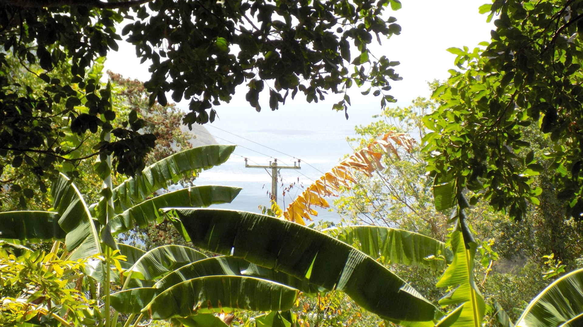 Soufriere Development Land • Land • St. Lucia Real Estate & Property For Sale and For Rent