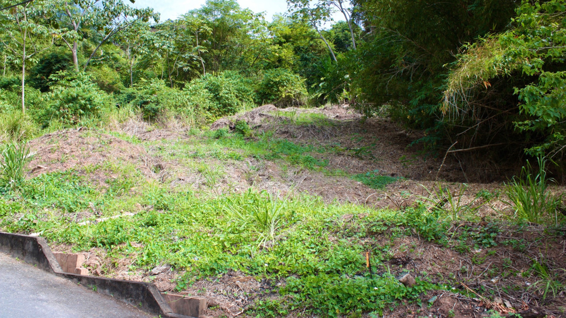 Navin Boulevard, Elizabeth Gardens • Land • Trinidad Real Estate & Property For Sale and For