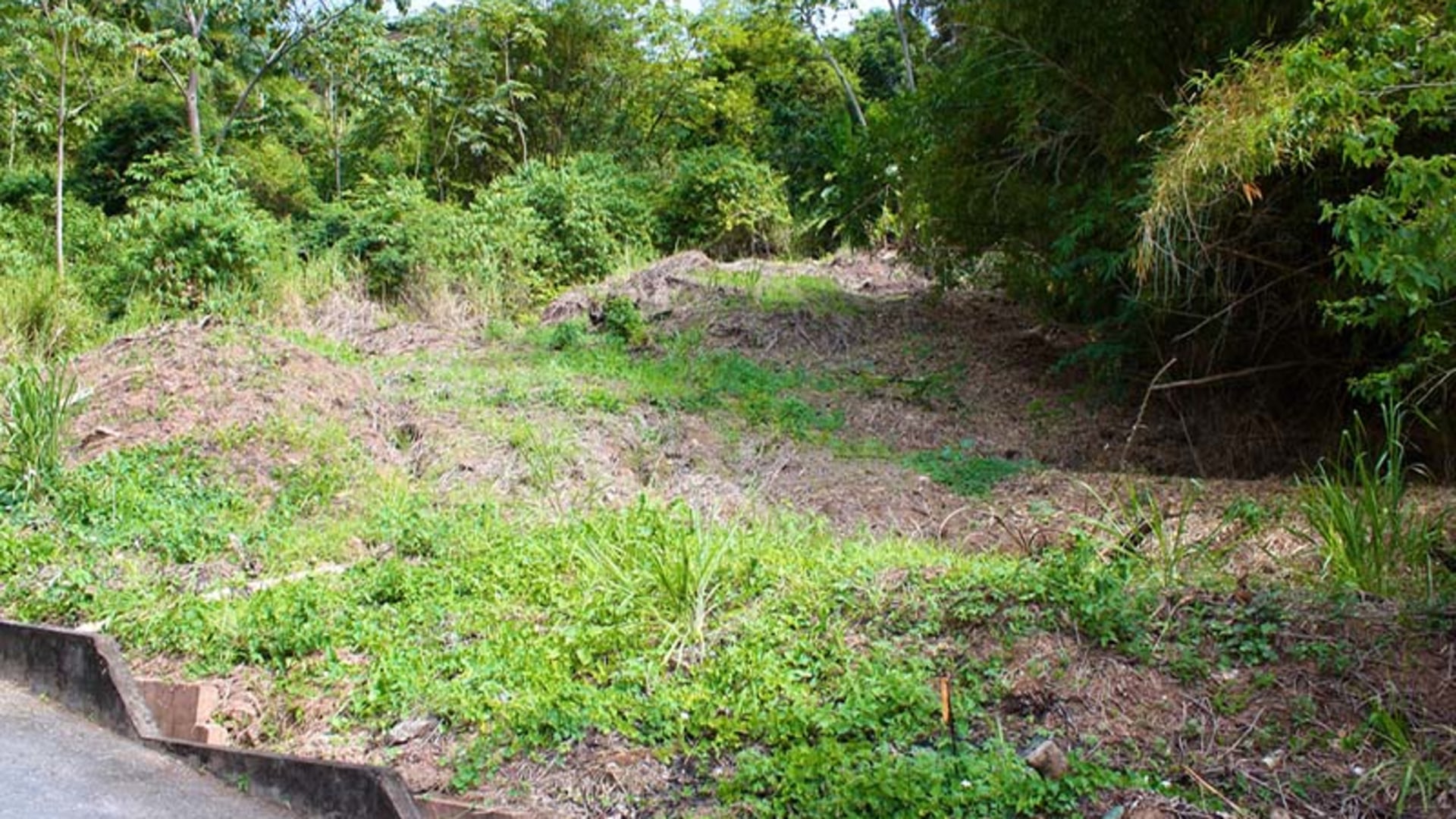 Navin Boulevard, Elizabeth Gardens • Land • Trinidad Real Estate