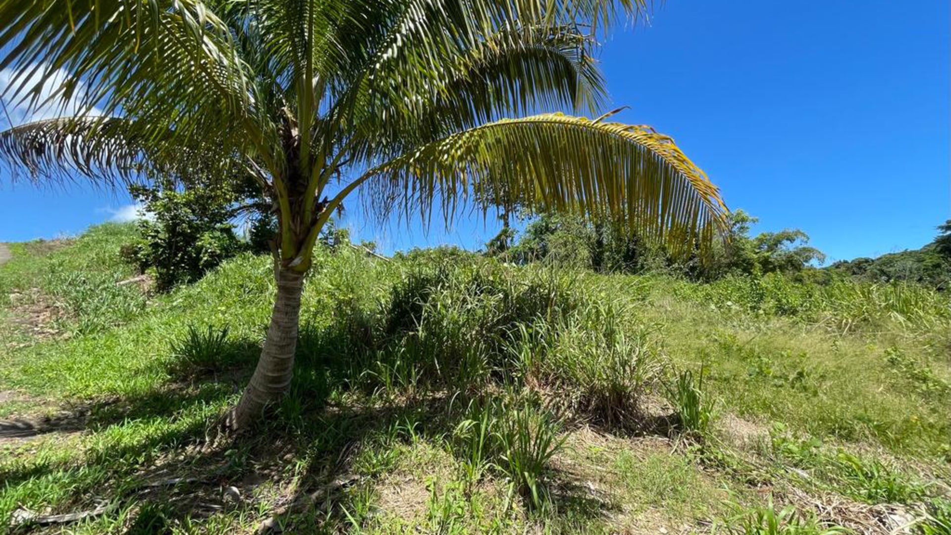 Chrysostom Trace. Mafeking Village • Land • Trinidad Real Estate