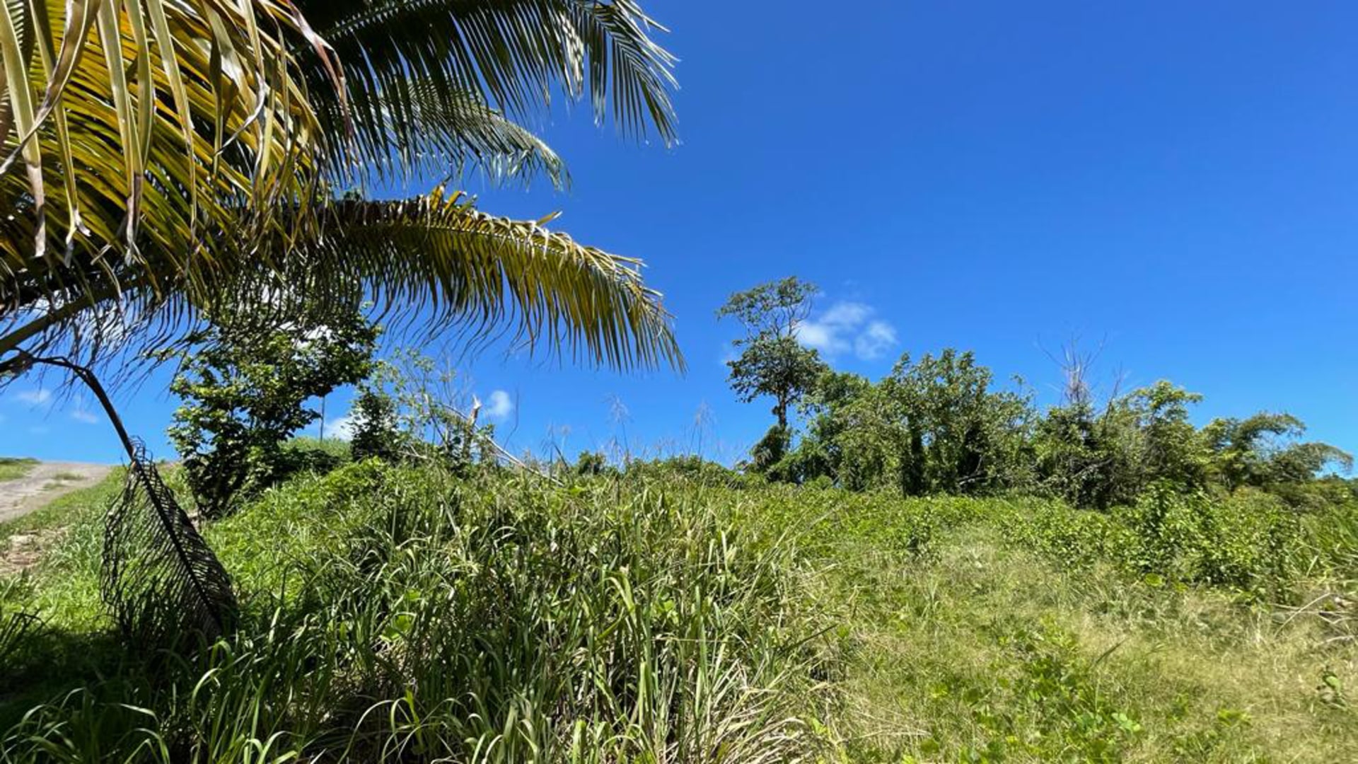 Chrysostom Trace. Mafeking Village • Land • Trinidad Real Estate