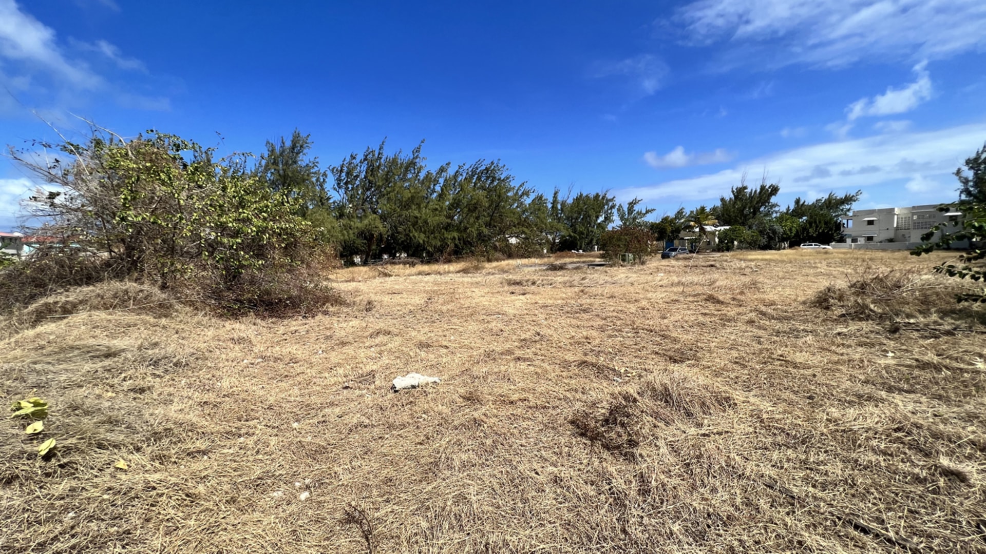 Mile Tree Lane Lot 5 • Land • Barbados Real Estate & Property For Sale