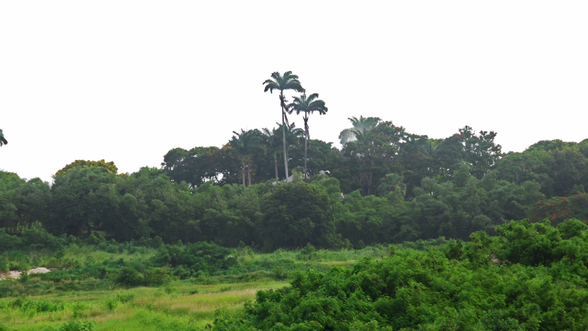 Adams Castle Lot 27 • Land • Barbados Real Estate & Property For Sale