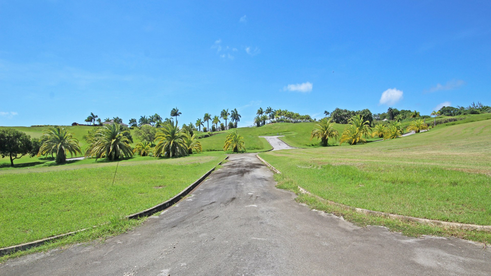 Lion Castle Polo Estate Lot 8A • Land • Barbados Real Estate & Property