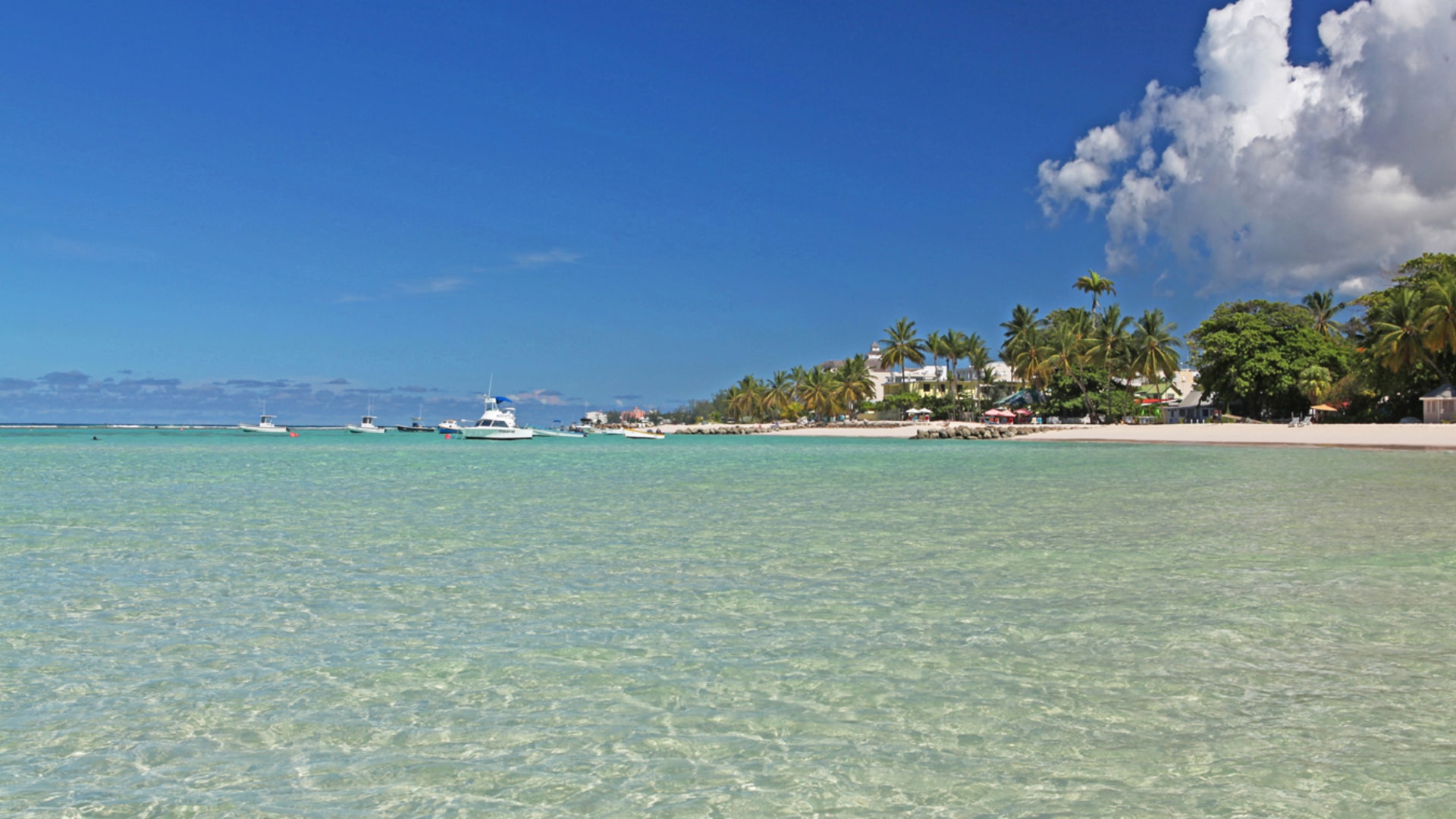 Ocean Reef 301 • Apartment • Barbados Real Estate & Property For Sale