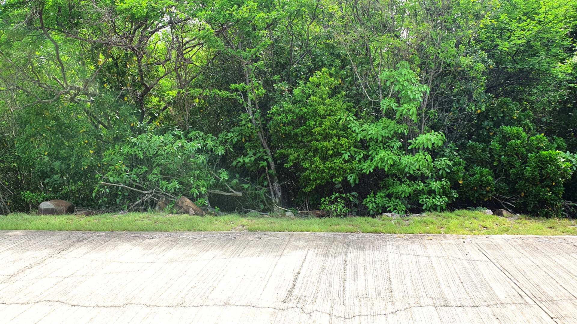 Belle Isle 85C Lot 2 • Land • Grenada Real Estate & Property For Sale