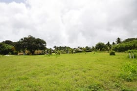 Piedmont development