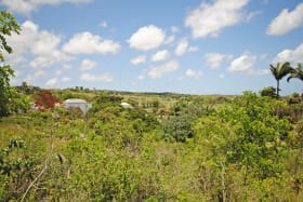 View looking east of Royal Westmoreland