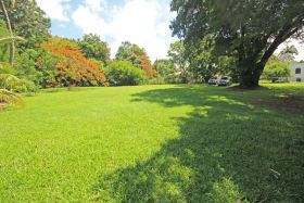 View of lot from neighbourhood road
