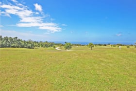 View from elevated area of lot