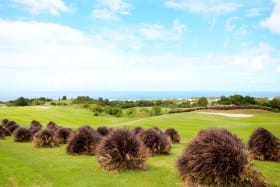 Fairway views