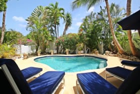 Tropical Oasis
