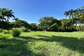 Expansive lot on the west coast of Barbados
