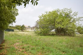 Lot 49A