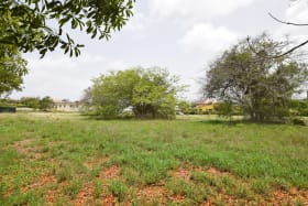 Lot 49A