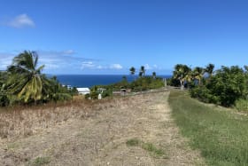 Beautiful lot slopes towards the ocean & country views