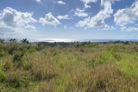 Views across the lot to the west
