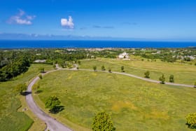 Aerial views of Cabbage Tree