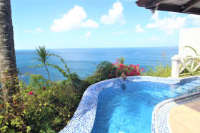 Cottage pool with view