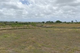 Land for sale in The Grove Development