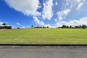 Moderately sloping lot